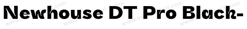 Newhouse DT Pro Black字体转换